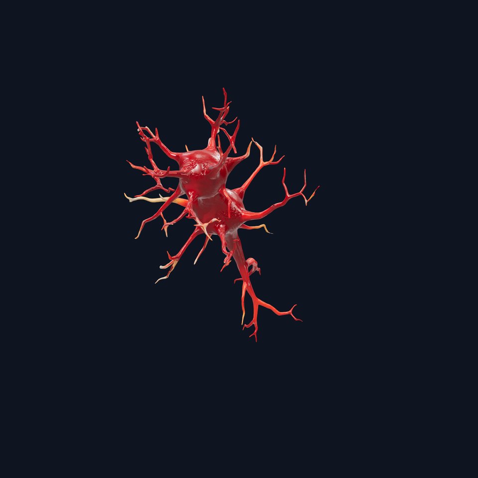 Neuron Cell Model Pack